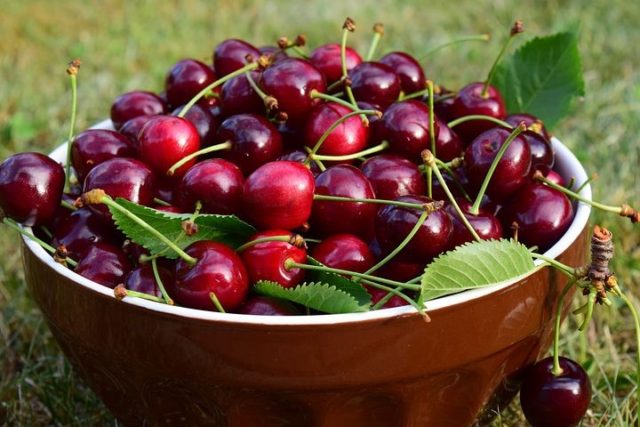 Qua Nhà Người Yêu Nên Mua Trái Cây Gì 