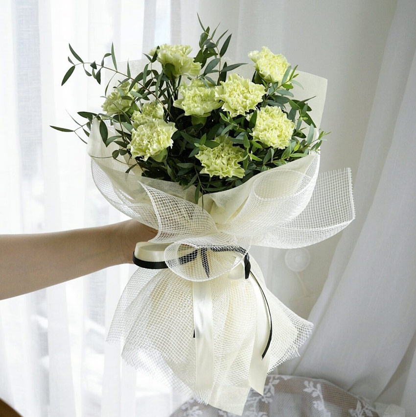 Tặng Hoa Có Ý Nghĩa Gì - hoa cẩm chướng