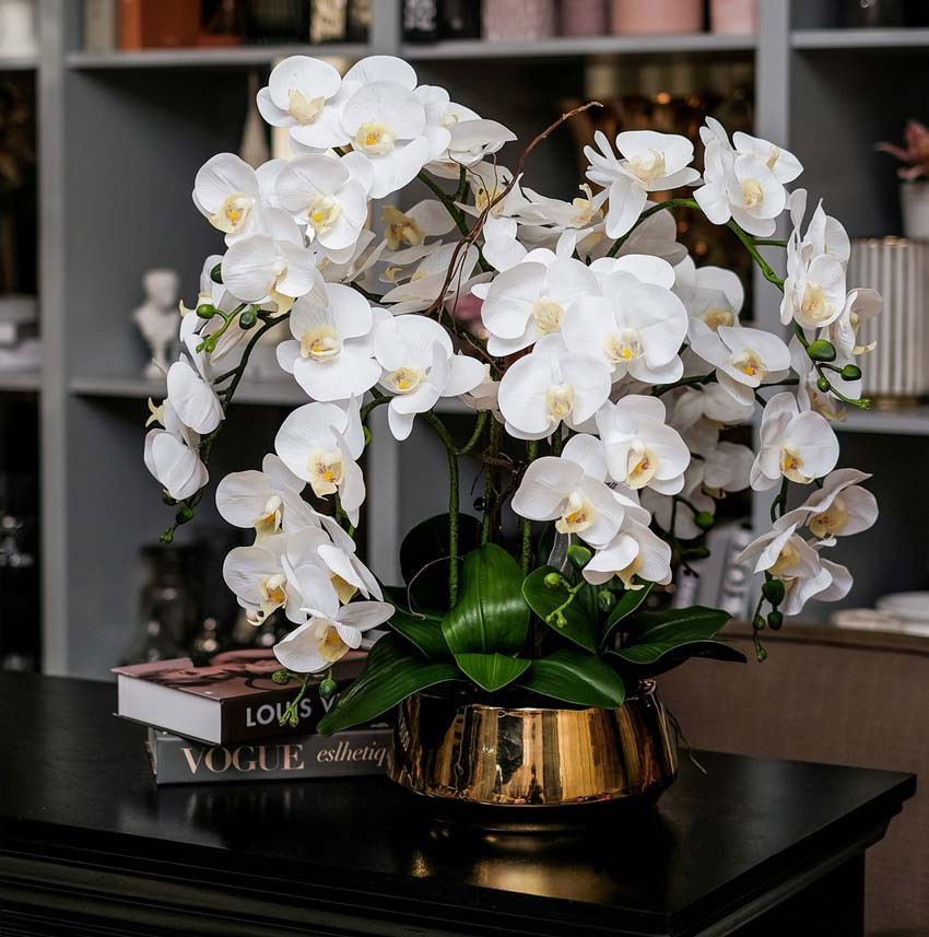 Quà tân gia hoa tươi