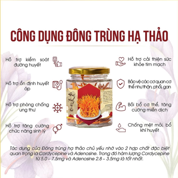 đông trùng hạ thảo